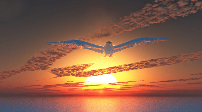 Pigeon volant au coucher du soleil, coucher du soleil, Saint-Esprit