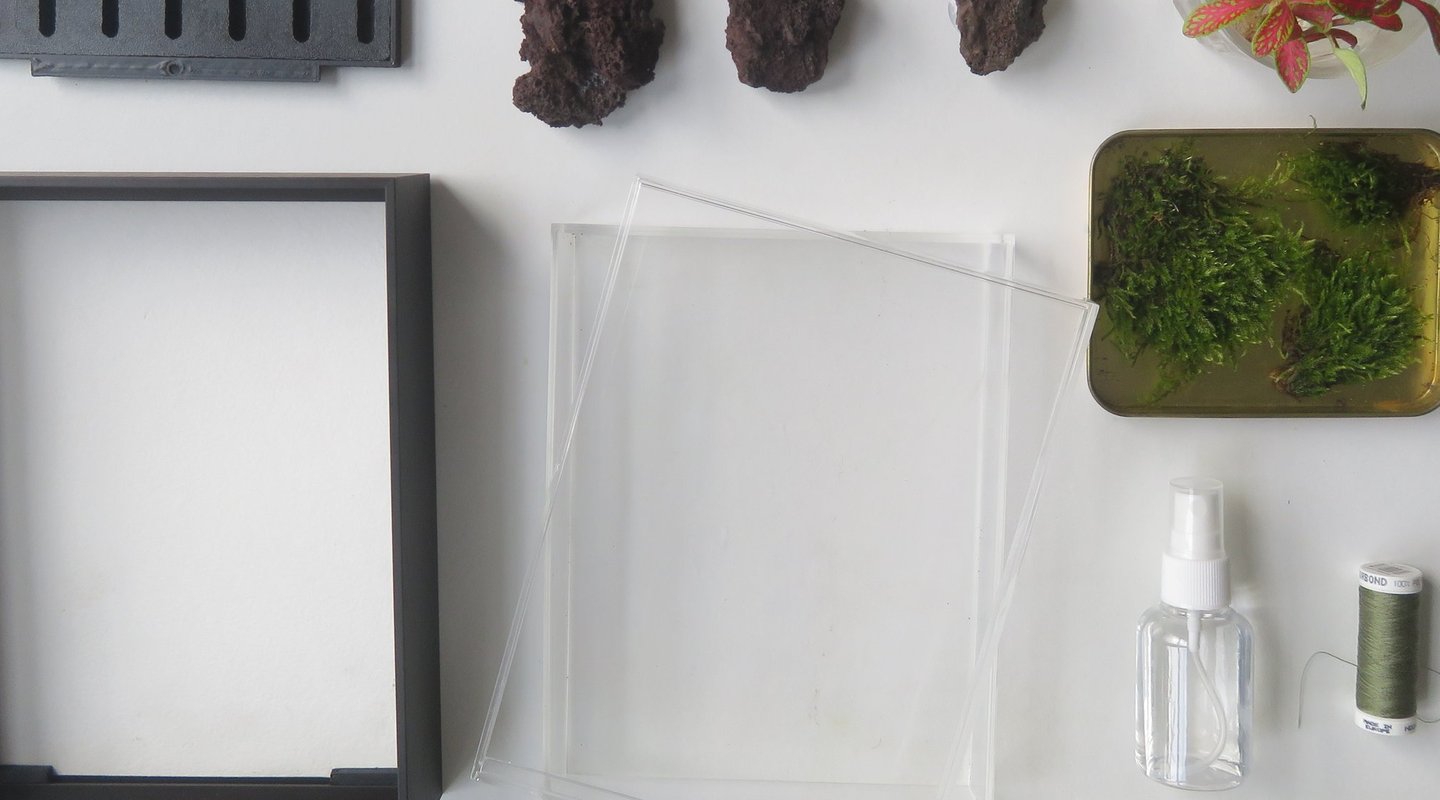 a terrarium kit with a frame rocks moss and plants.
