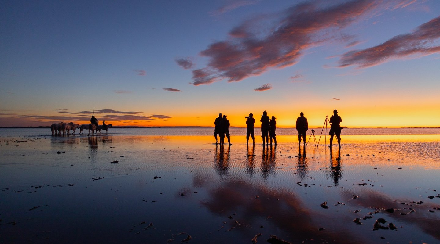 Silhouetted photographers and white horses on the water at sunrise during a Camargue photography workshop.