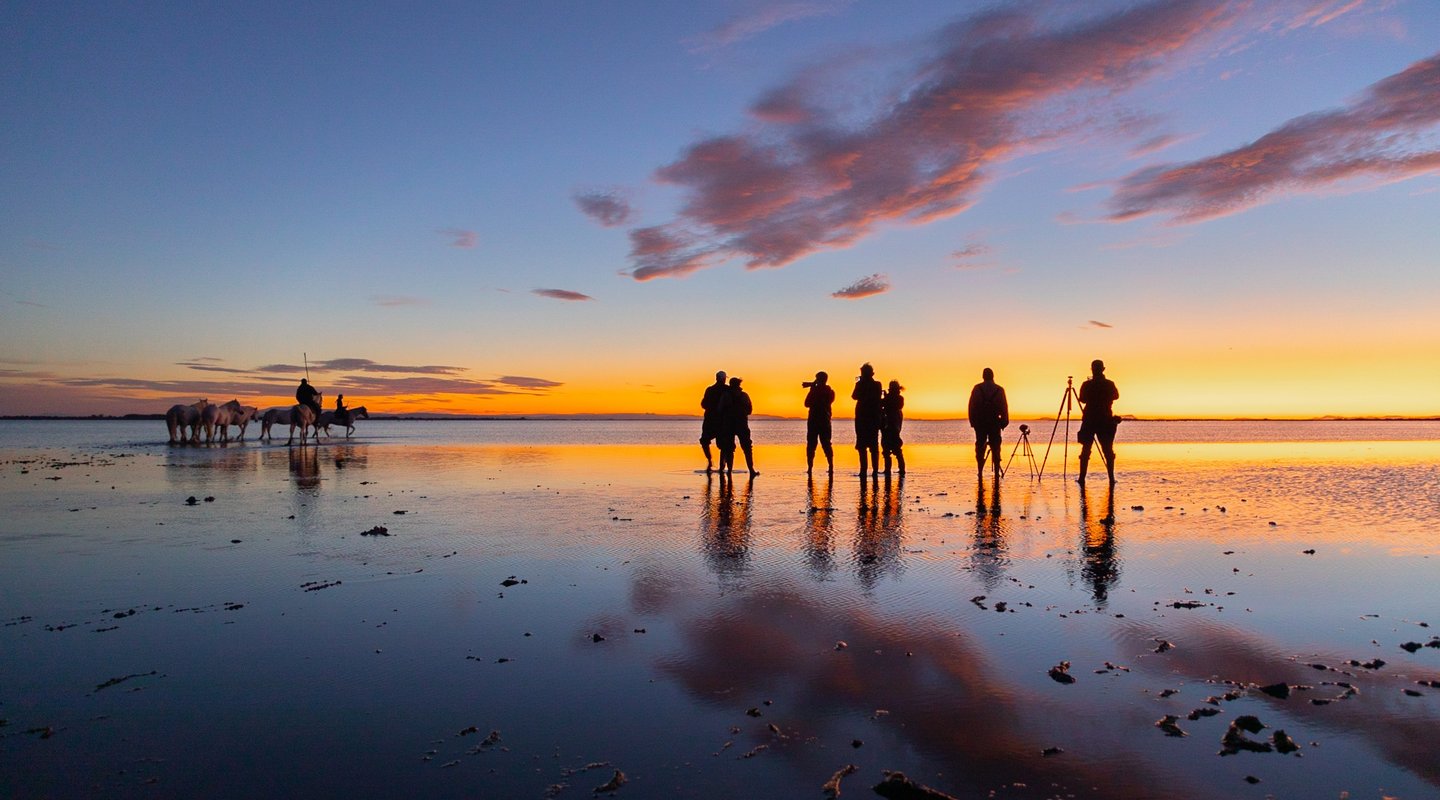 Photographers silhouetted against a golden sunrise at the beach capturing white Camargue horses in the water.