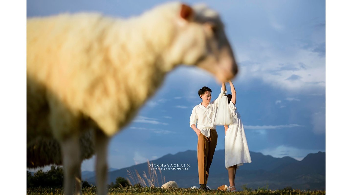 โปรโมชั่นถ่ายพรีเวดดิ้ง น่าน เริ่มต้น 6,499 บาท 