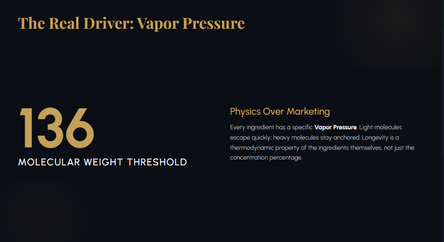 "Diagram showing how molecular weight and vapor pressure determine if a fragrance stays anchored to the skin."