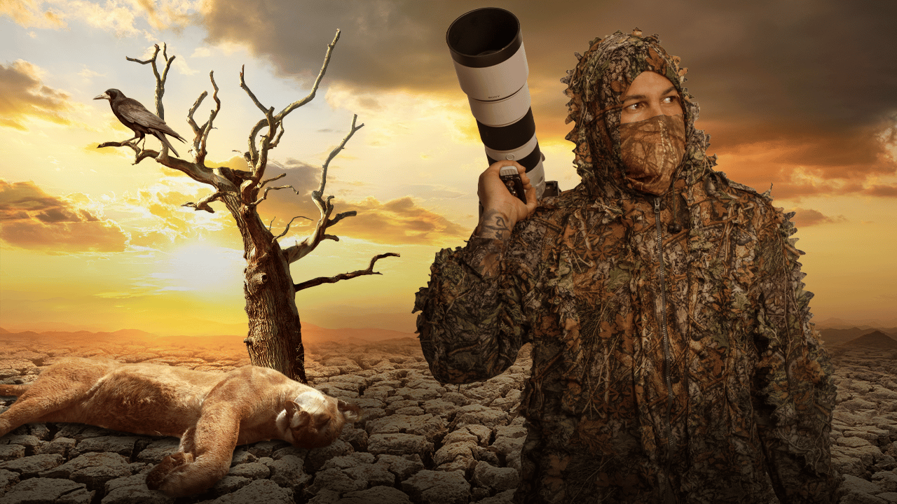Primus Media Production digital montage