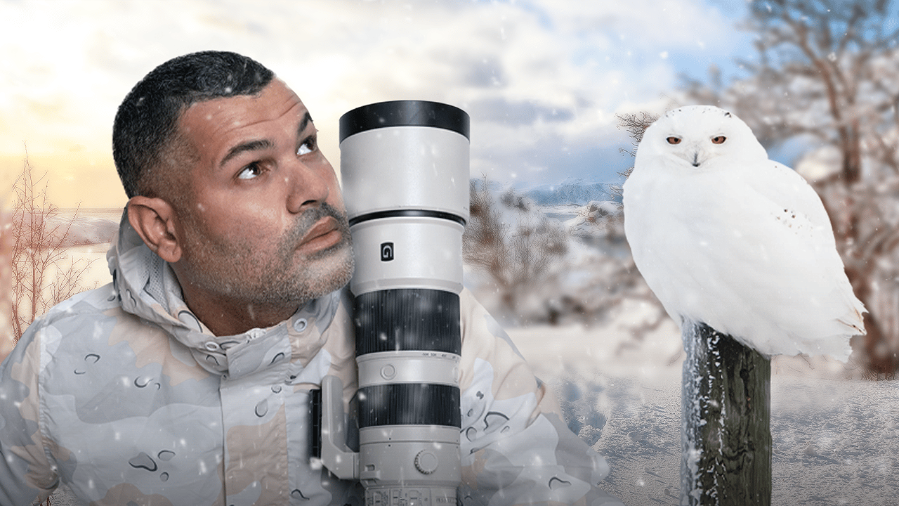 Primus Media Production digital montage