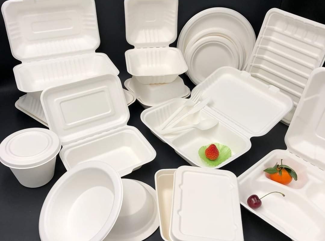 Sugarcane food packaging for restaurants and cafés