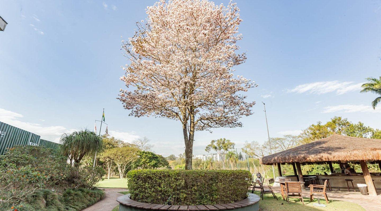 uso de água em empreendimentos com área verde