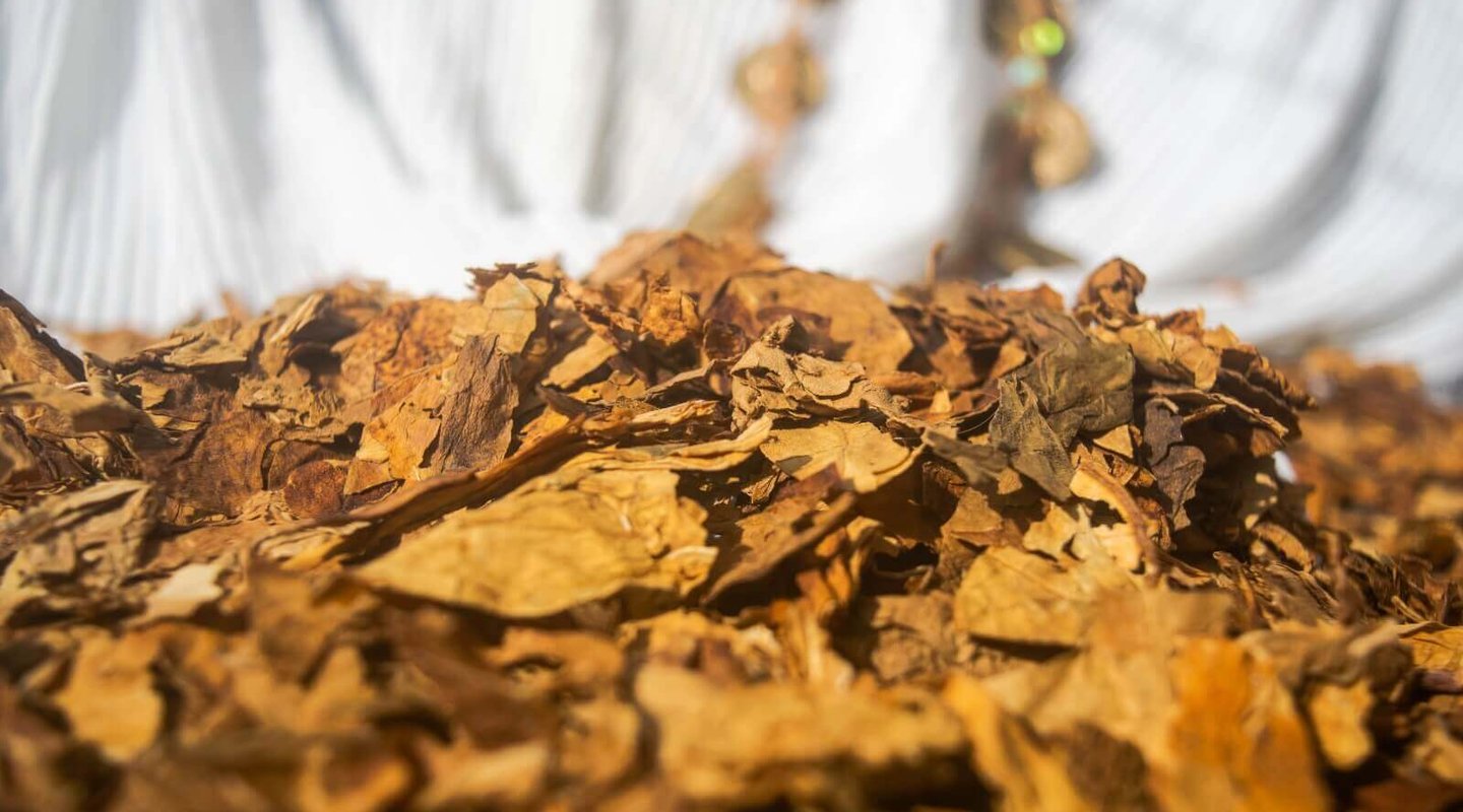 Tabaco ceremonial trozado a mano, puchos ancestrales, cigarrillos herbales
