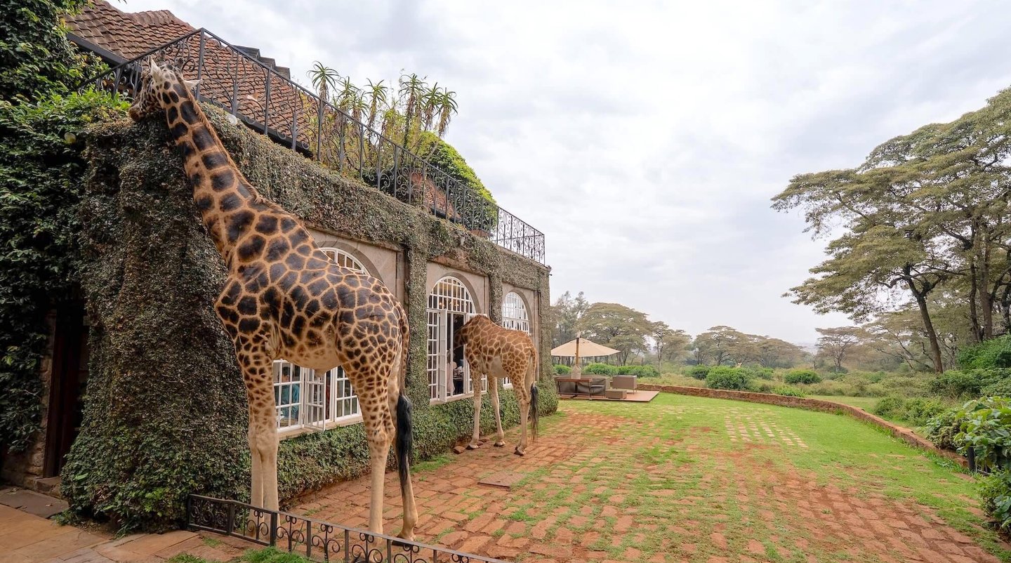 Giraffe Manor Kenya