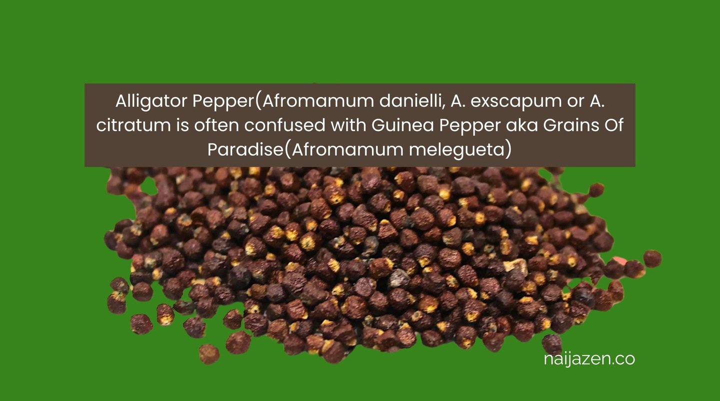 alligator pepper is NOT the same as grains of paradise