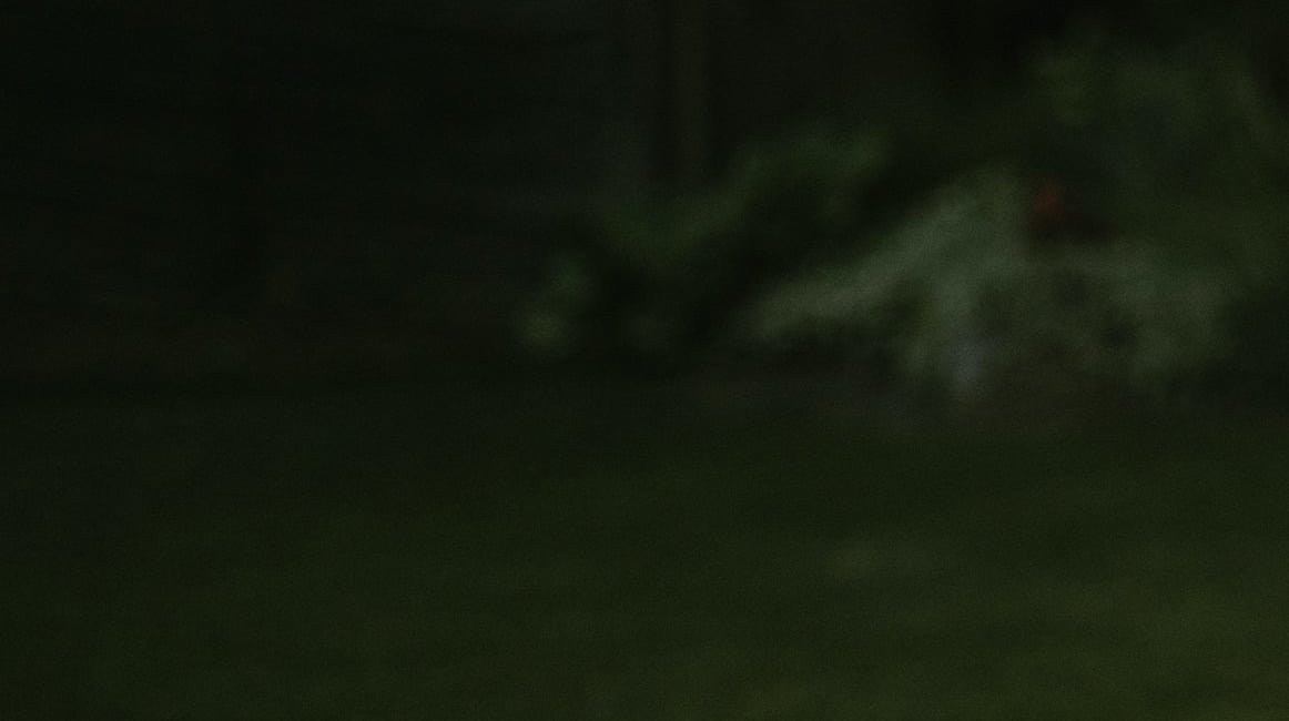 tamsiai žalios spalvos fonas