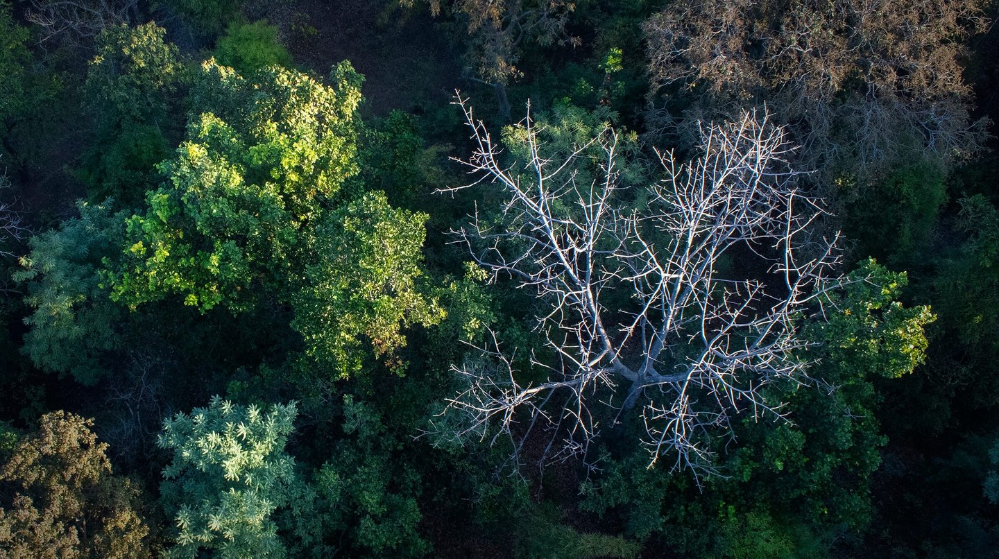 Aerial photoshoot on assignment for tourism organization India
