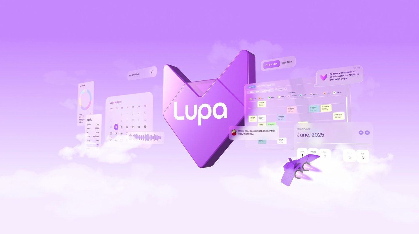 Motion Design
