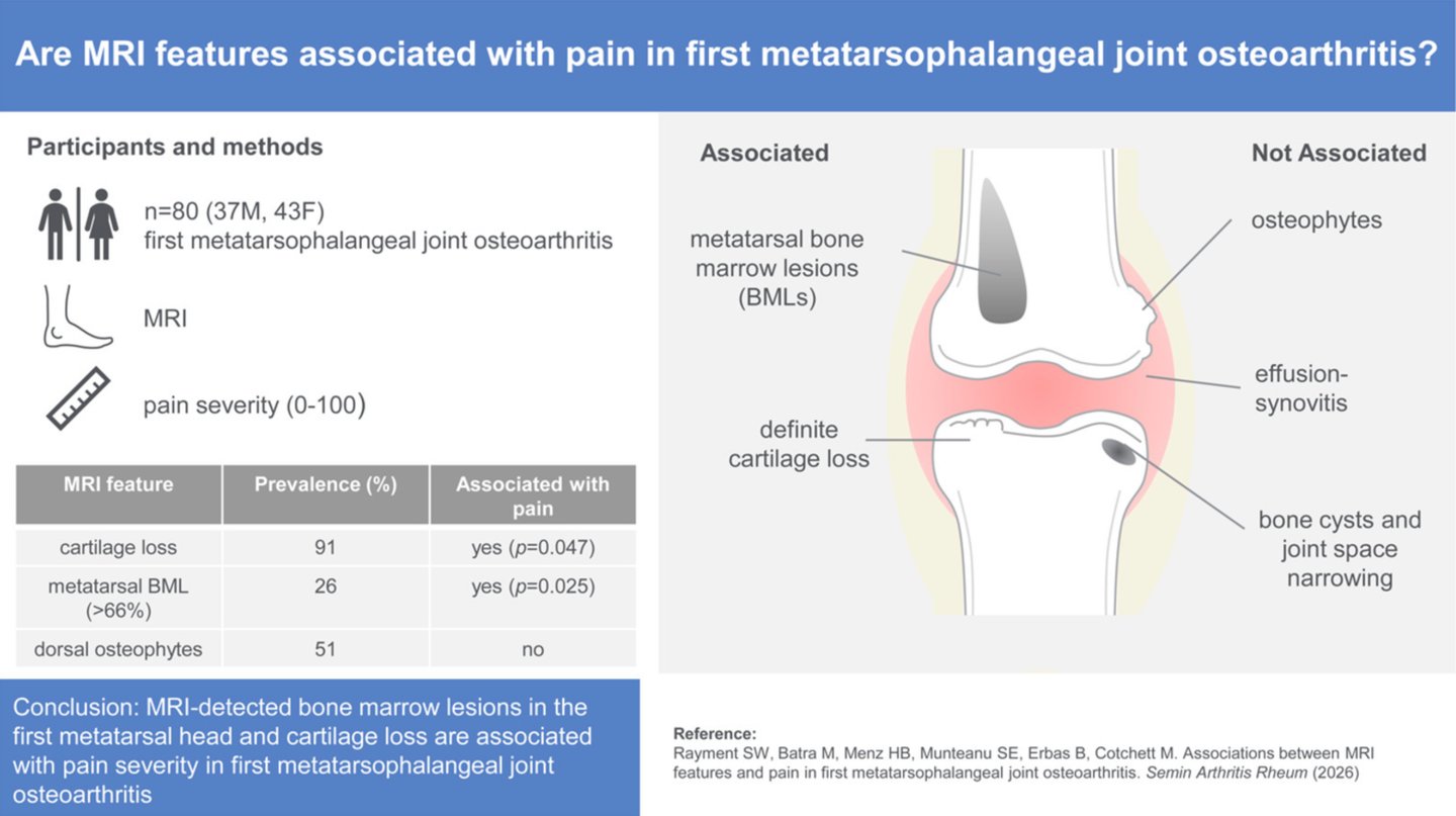 Graphical abstract: MRI features assessed in first MTP joint osteoarthritis and their association with pain severity