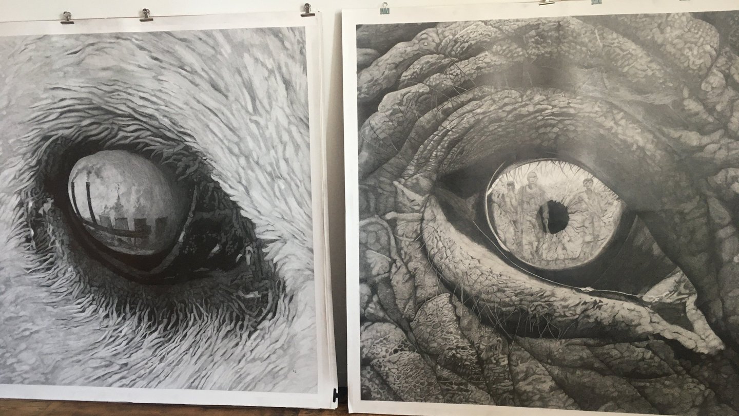 Oeil d'ours polaire et d'éléphant