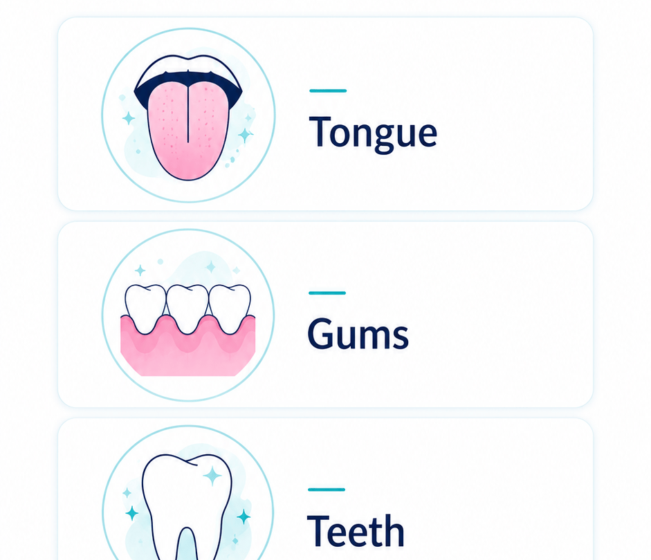 whole mouth wellness