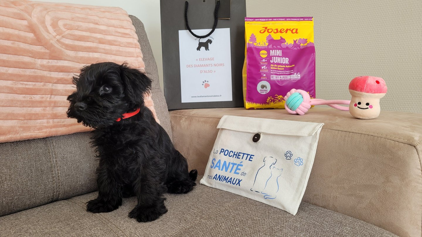 Uma part rejoindre sa famille