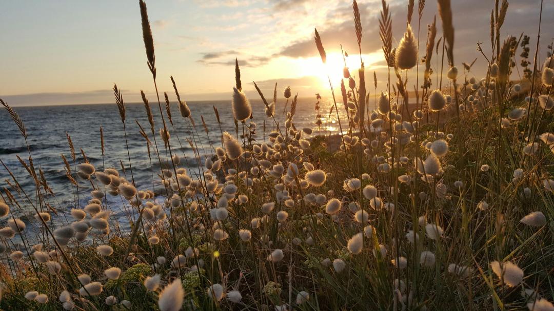 Coucher de soleil lumineux et en paix