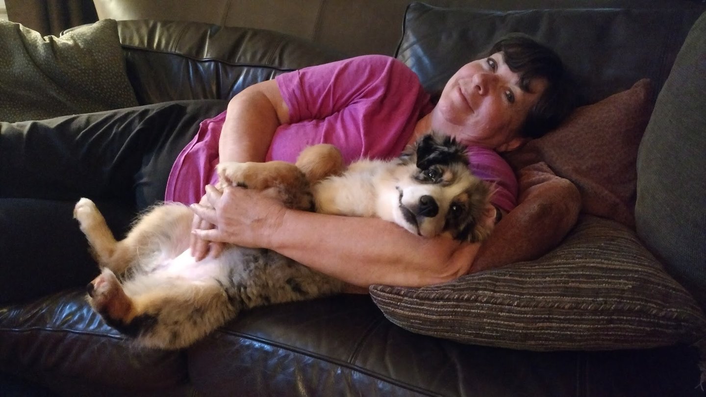 relaxing with laudrick aussie dog