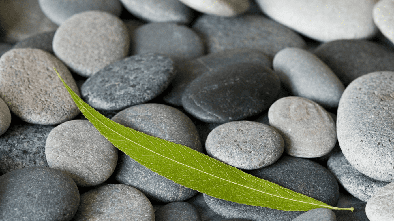 Procedimiento ante el tribunal europeo de derechos humanos (TEDH)