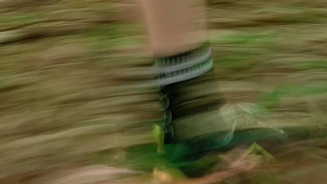 Trail