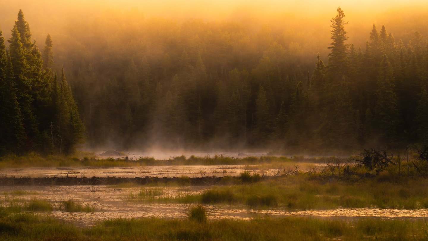 a river with a river and trees in the background