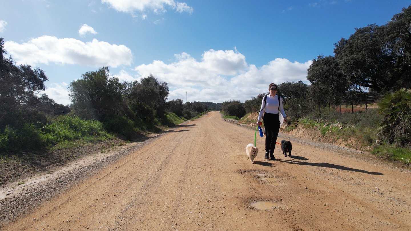 grabación personalizada con dron, mujer paseando perro por el campo, volar en entorno A3 con dron en españa