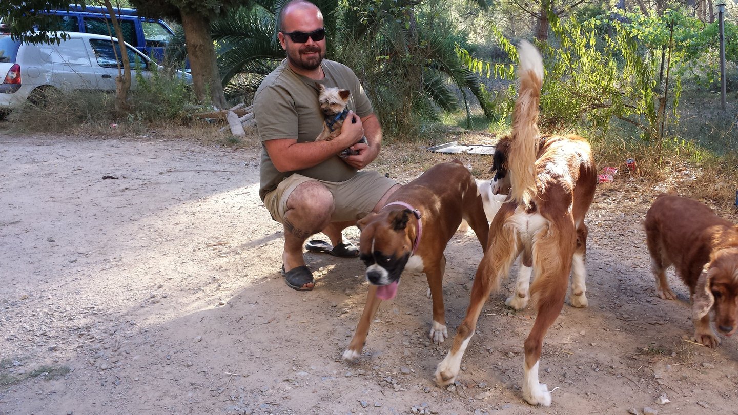 Guardería de día para perros