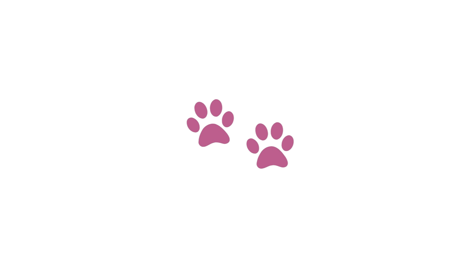 Patitas de perro