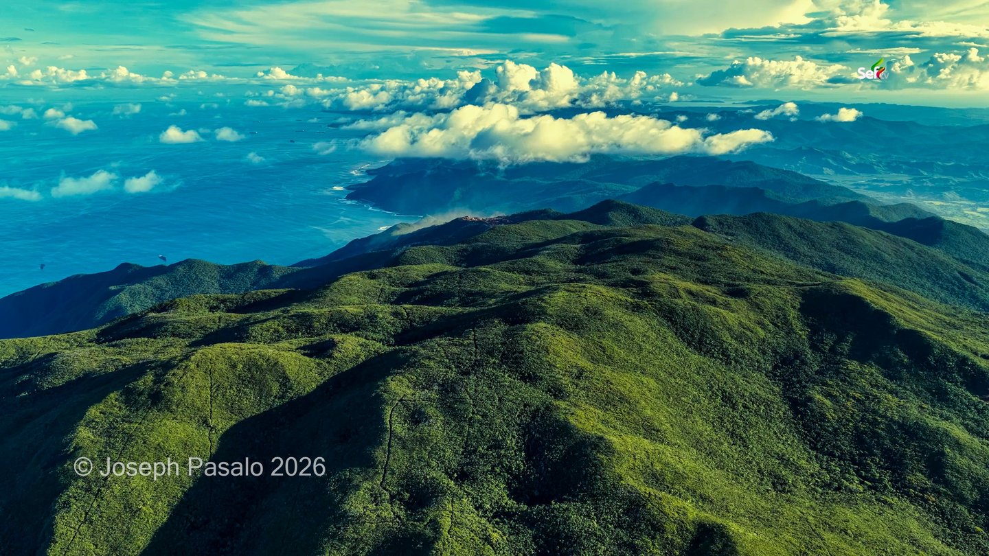 Aerial View of Bonsai Forest in Dinagat Island
