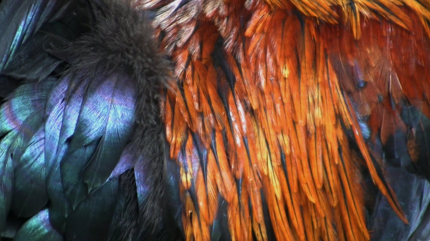 Habitantes_Tânia Moreira David