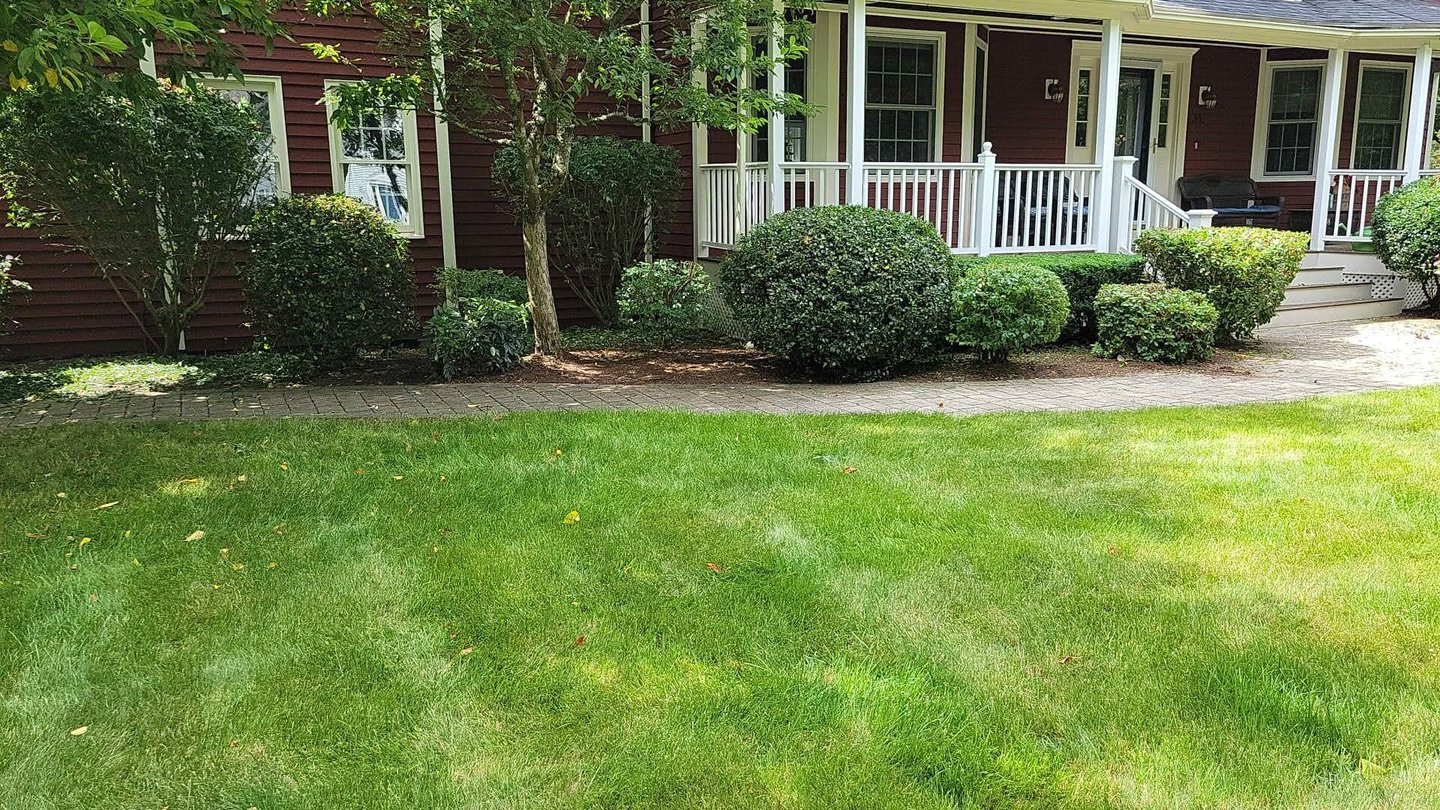 Pruning and cleaning beds