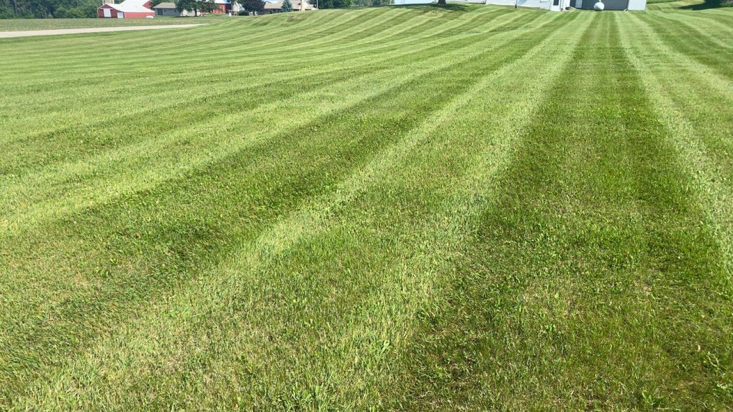 Beautiful striped lawn 