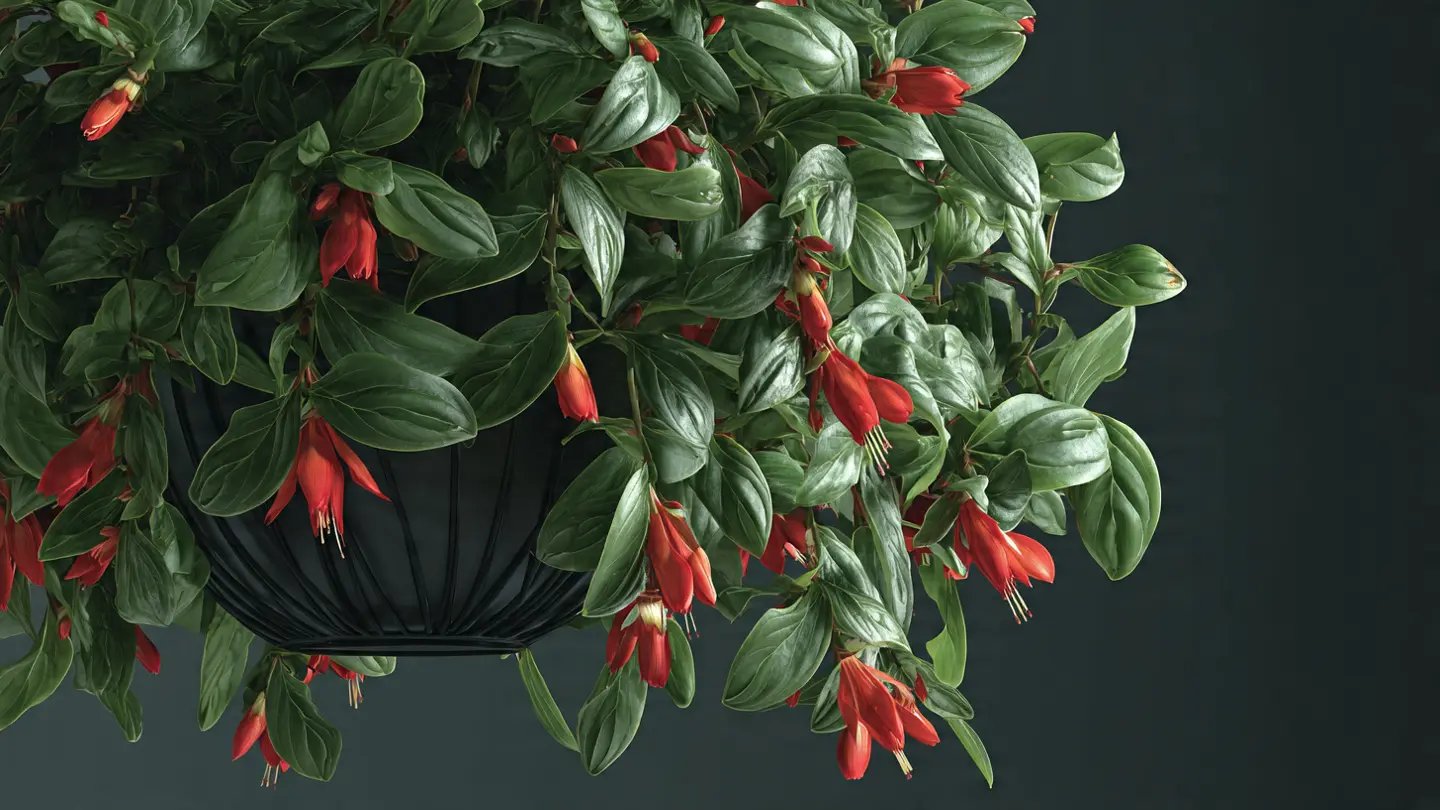 Planta Pintalabios colgante con flores tubulares rojas