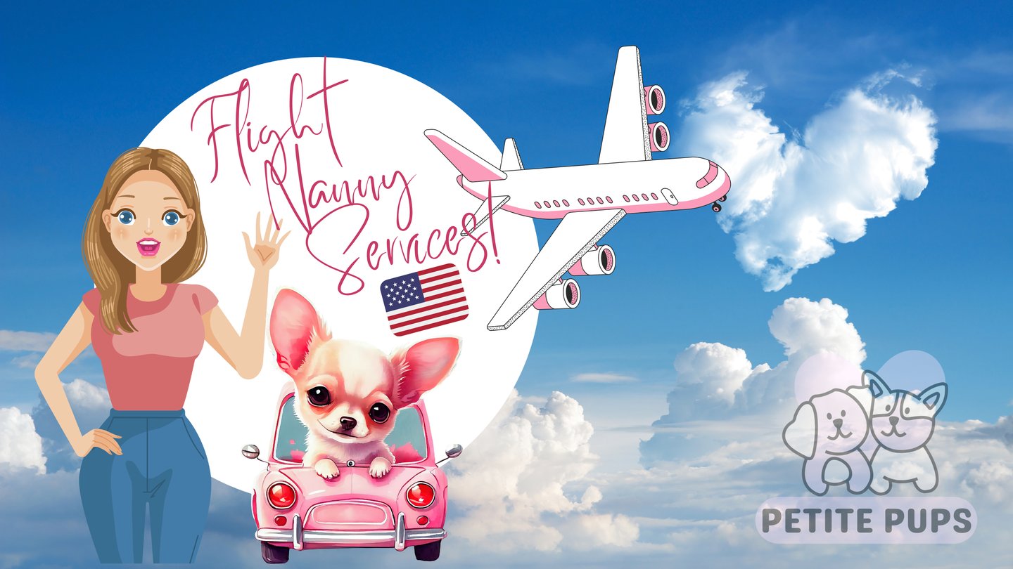 Petite Pups - Flight Nanny Services Nationwide USA - PetitePups.com