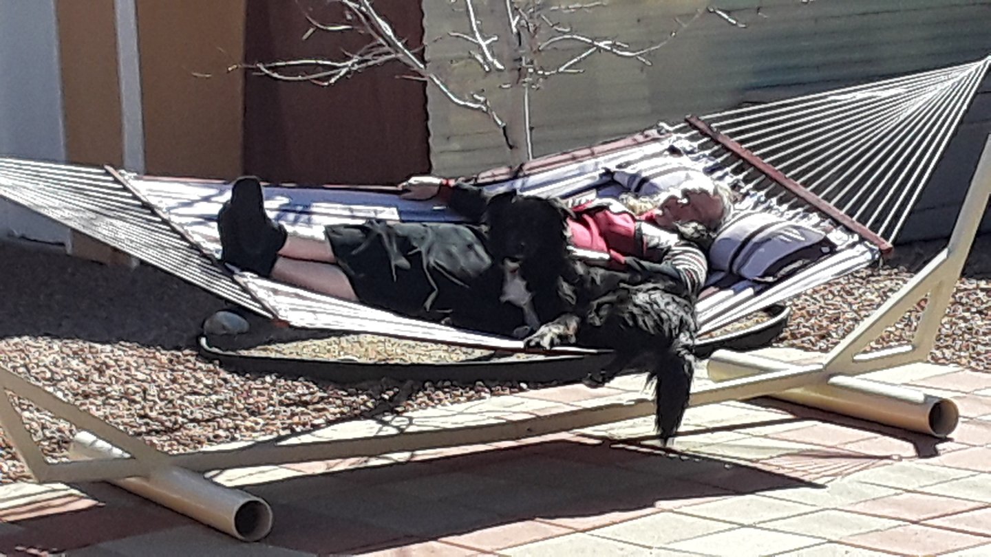 Women and Dog on a hammock supported by a Hammock Stand