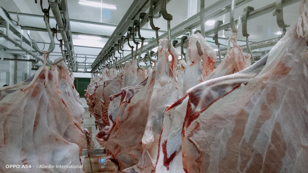 Top Halal Beef Exporters In Pakistan
