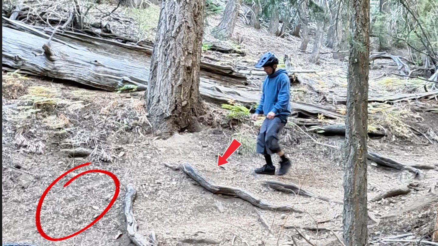 mountian biker looking at roots that can be bump jumped over