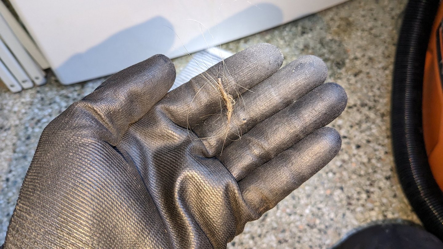 Hairs on a hand that wears black glove