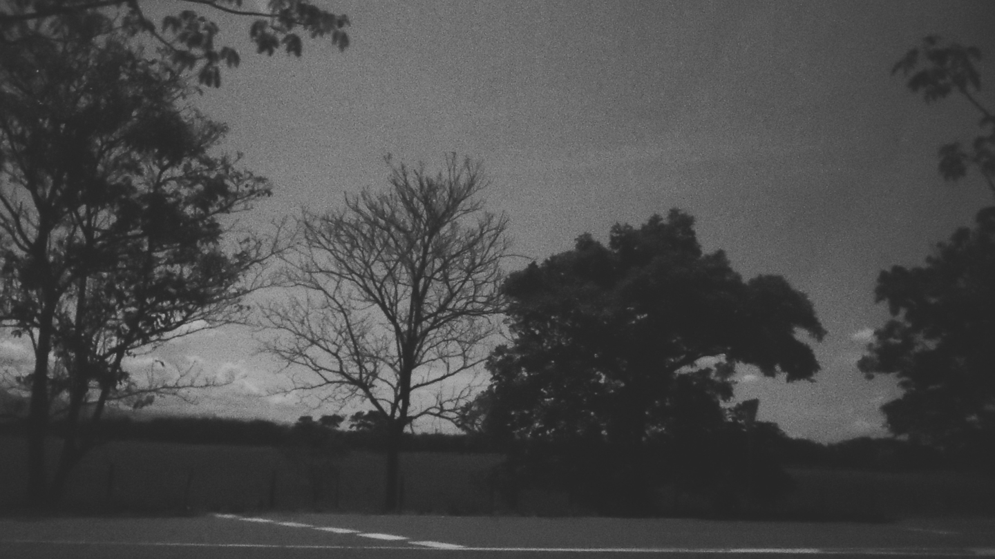 Paisaje granulado en blanco y negro con siluetas de árboles y horizonte.