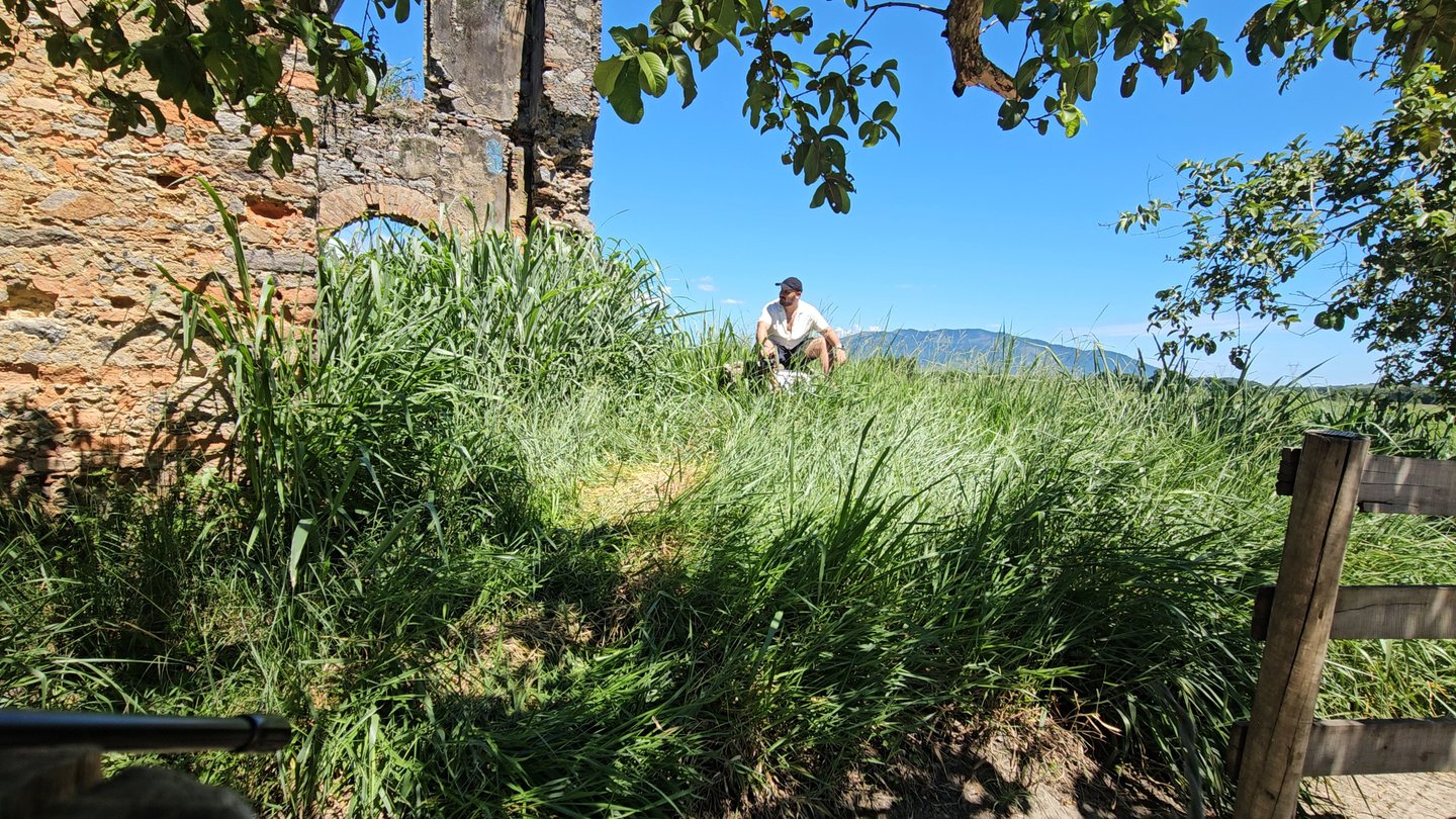 Fotografia do Rodrigo 'Seu Pacheco' Mota