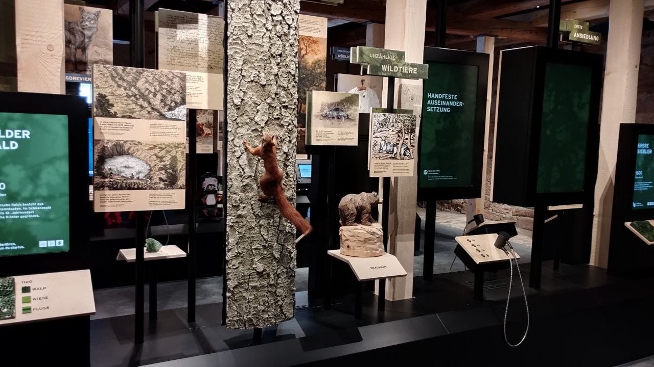 Ausstellung Herrenwies Nationalpark Haus