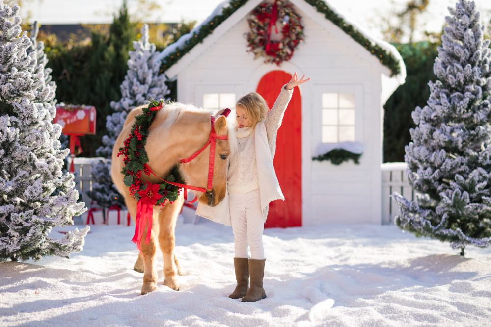 Noël au Haras de Signy