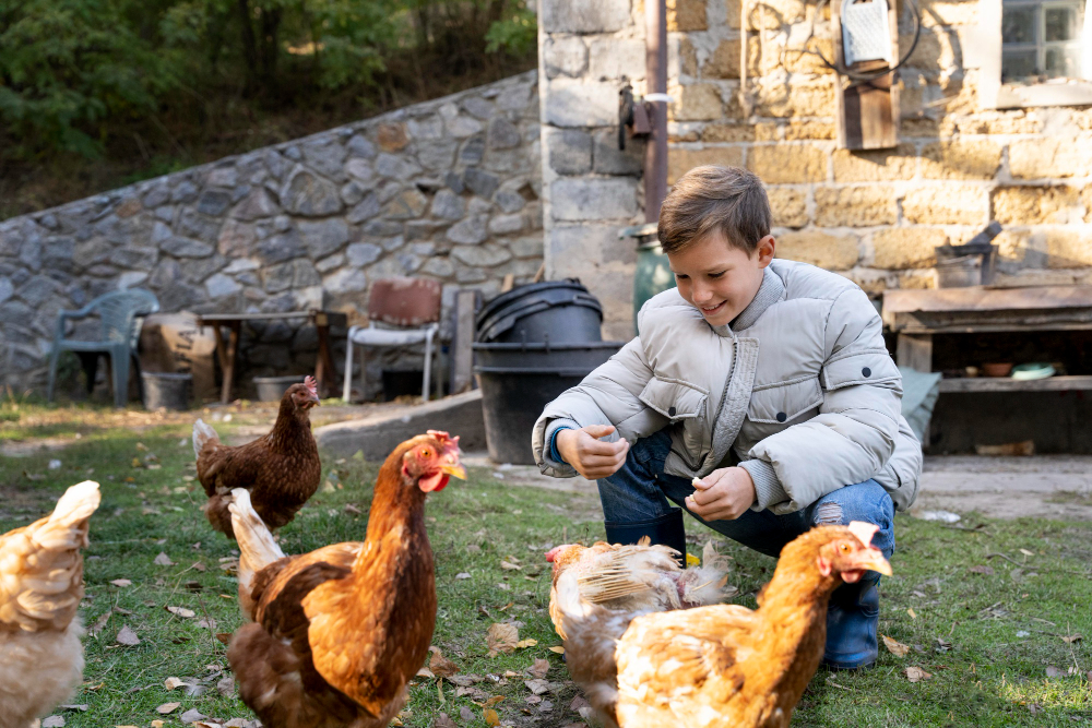 Les Mardis à la Ferme du Lion d'Or