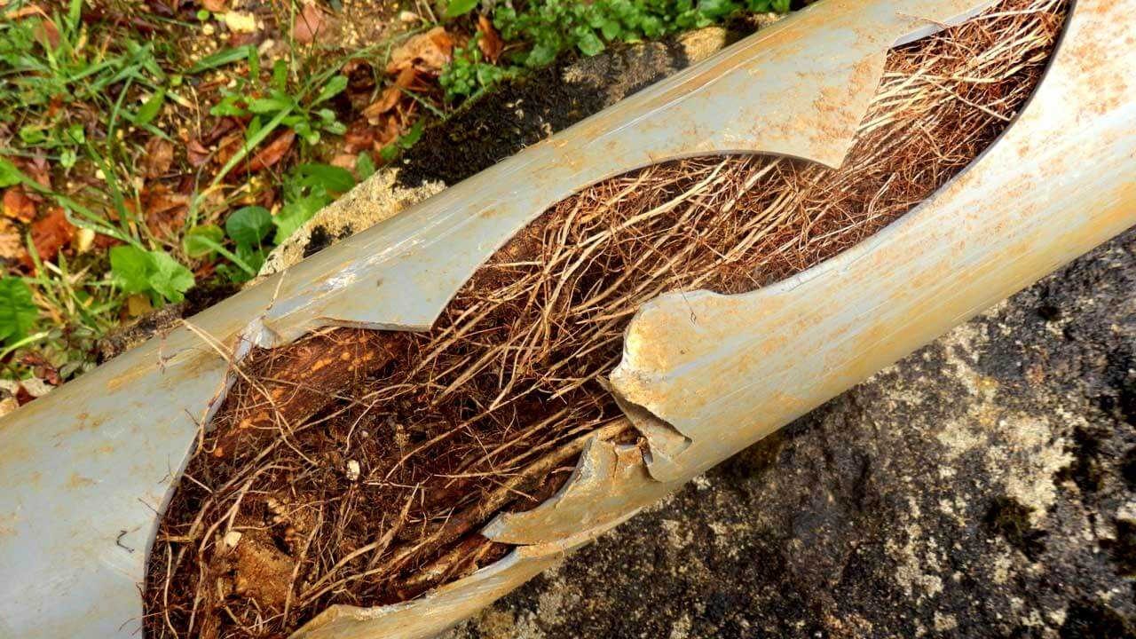 Pipe Repair and Broken Pipes Issues