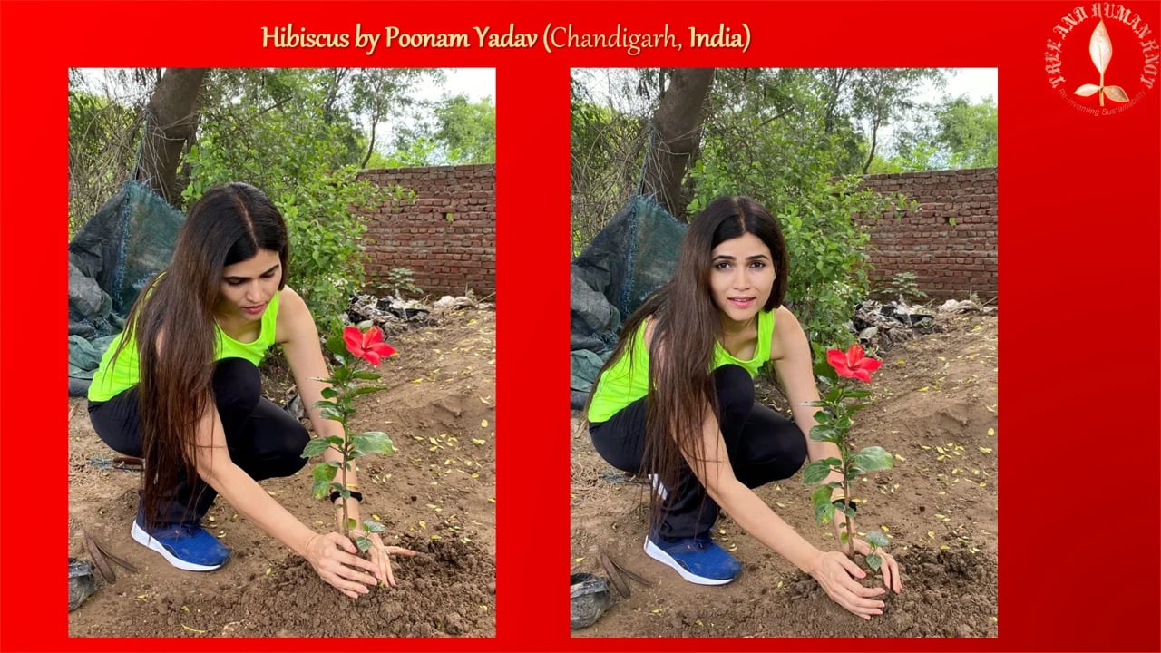 Mrs India planted a tree to connect people with nature positively to join the movement for sustainability