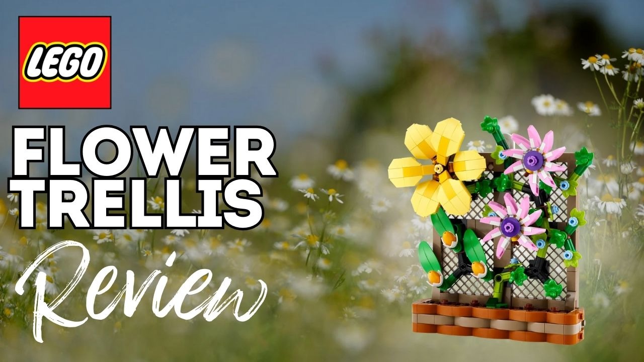 Click to watch video on YouTube