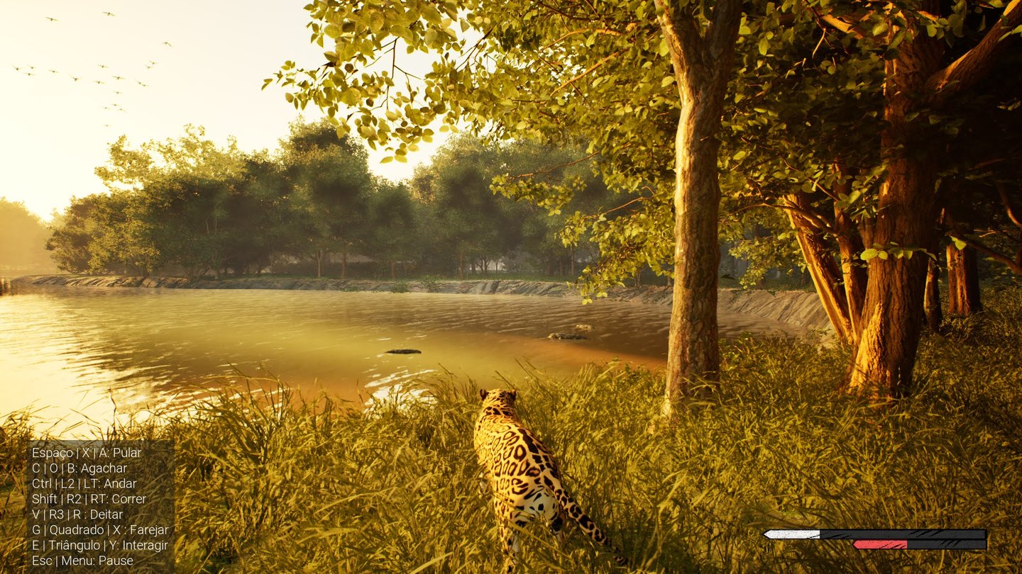 Gameplay Screenshot