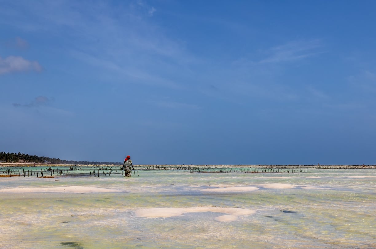 a person standing on a beach of Zanzibar