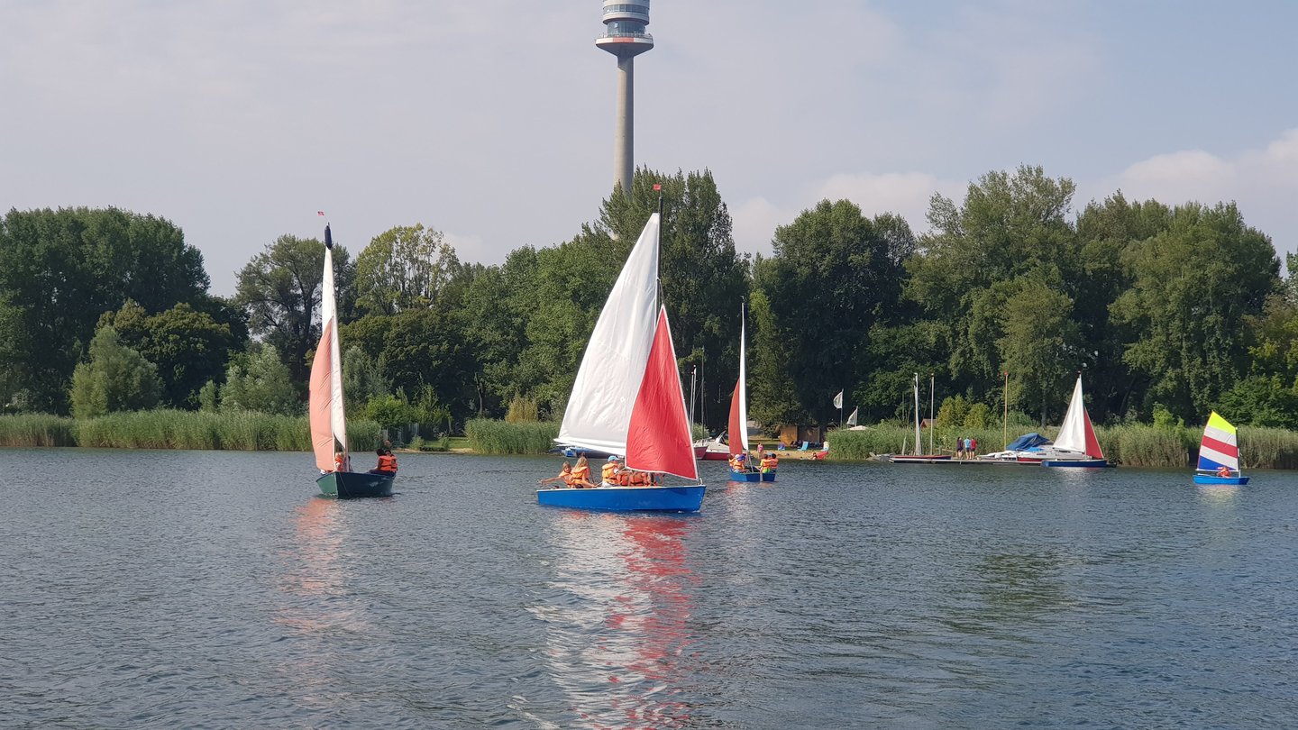 Boot auf der Donau