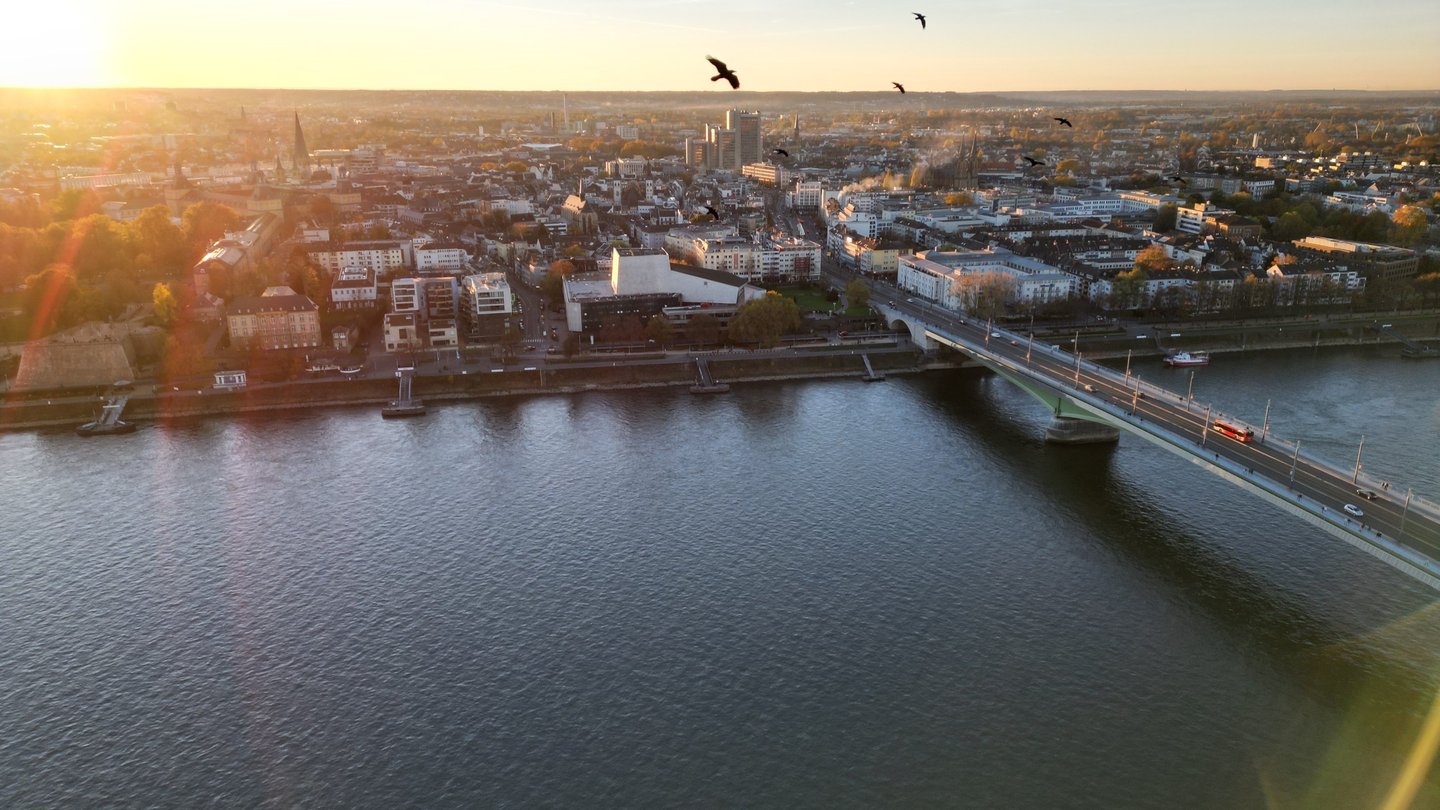 Luftaufnahme Drohnenbild der Konrad Adenauer Brücke bei Sonnenuntergang und Vögeln im Bild